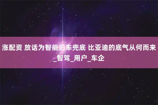 涨配资 放话为智能泊车兜底 比亚迪的底气从何而来_智驾_用户_车企