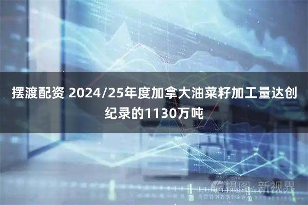 摆渡配资 2024/25年度加拿大油菜籽加工量达创纪录的1130万吨